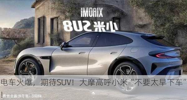 电车火爆，期待SUV！大摩高呼小米“不要太早下车”！