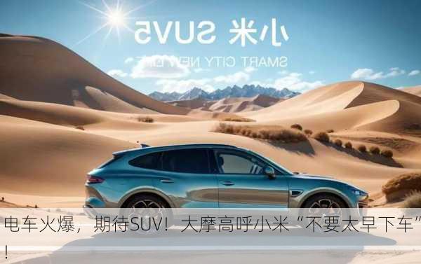 电车火爆，期待SUV！大摩高呼小米“不要太早下车”！-第2张图片-